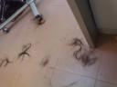 dsc01674.JPG